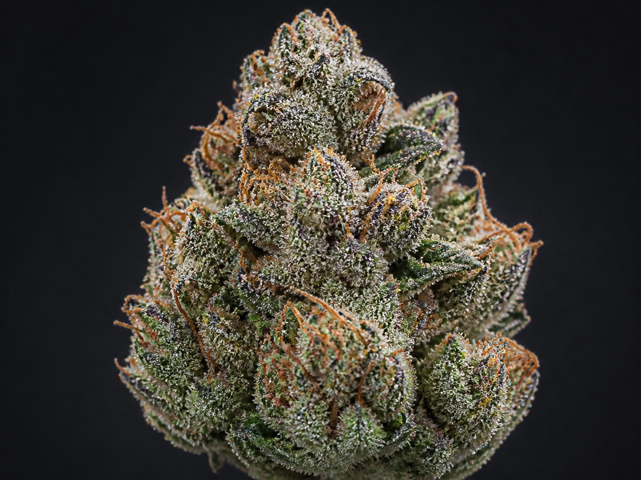 Cali Soorten — cannabis van het type Hybride