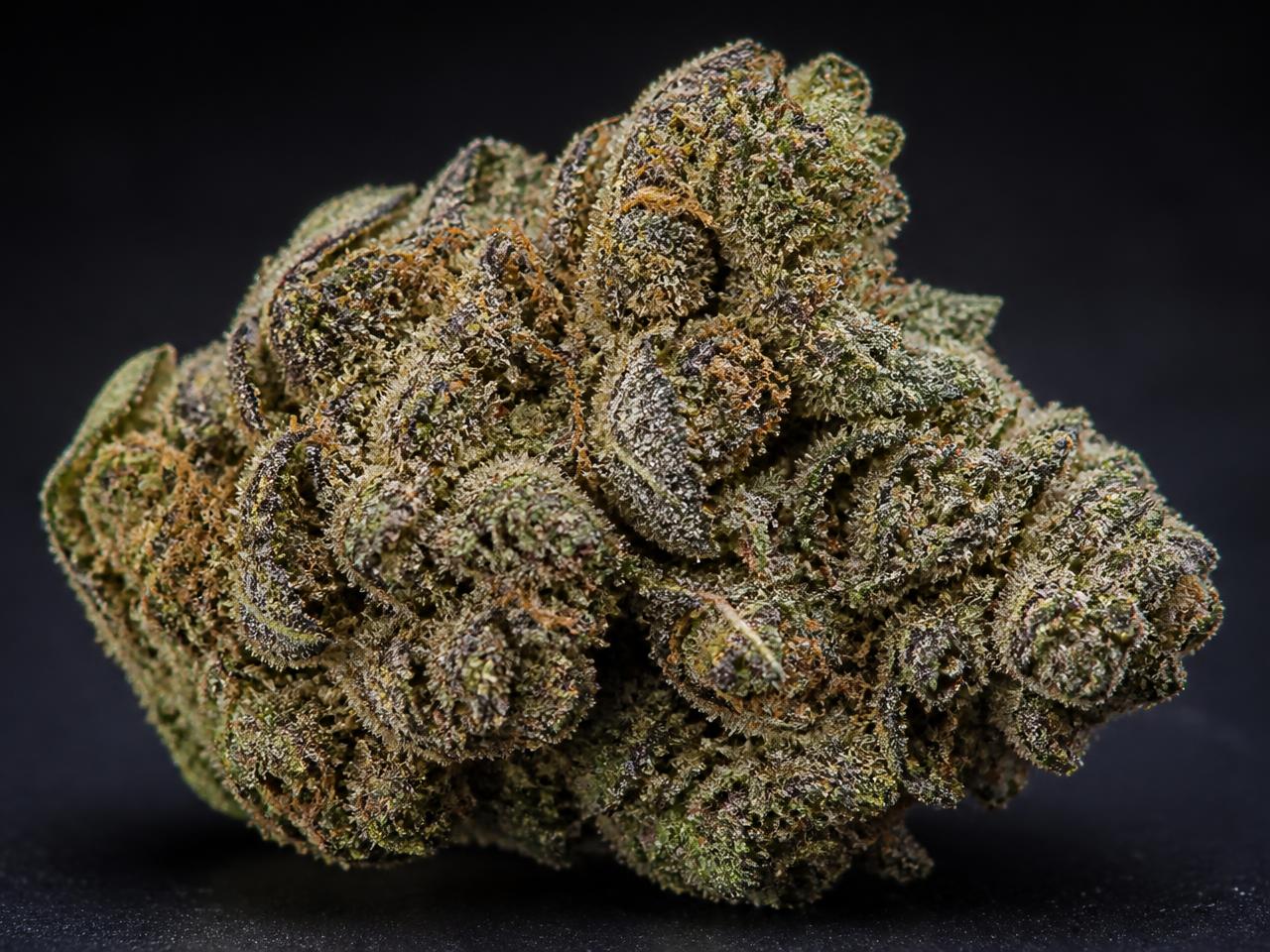 Kush Soorten — cannabis van het type Indica
